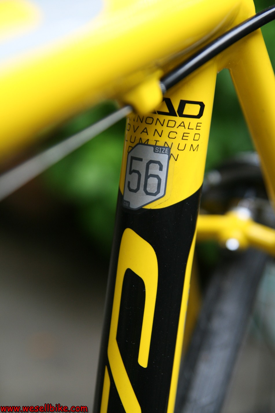 เสือหมอบอลูมิเนียม Cannondale CAAD8 ไซส์ L (56)