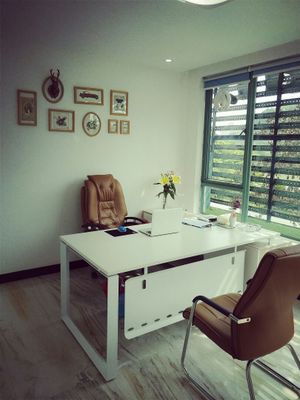 ชุดกรอบรูปติดผนัง Deer Model : กรอบรูปไม้ 8 ชิ้น+หัวกวาง พร้อมรูปภาพตามแบบและวัสดุติดตั้ง