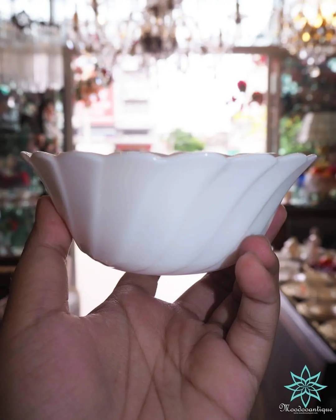 Arcopal France ฝรั่งเศษ เนื้อนม