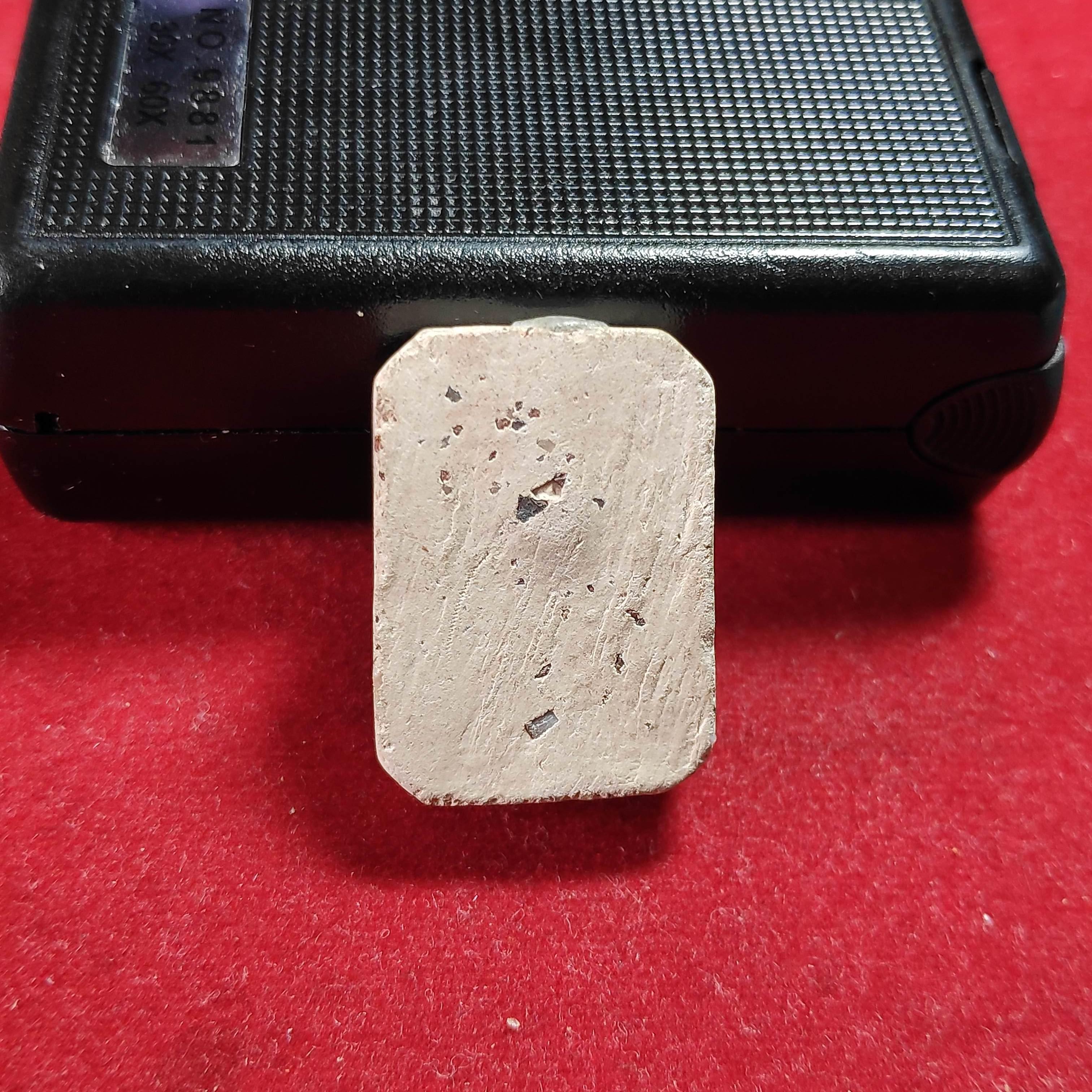 พระหลวงพ่อปานวัดบางนมโคพิมพ์นั่งเสือฝังเเร่