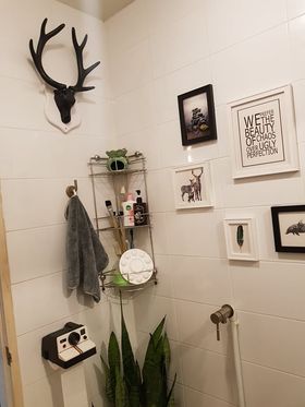 ชุดกรอบรูปติดผนัง Black Deer กรอบรูปไม้ 8 ชิ้น+หัวกวาง พร้อมรูปภาพตามแบบและวัสดุติดตั้ง