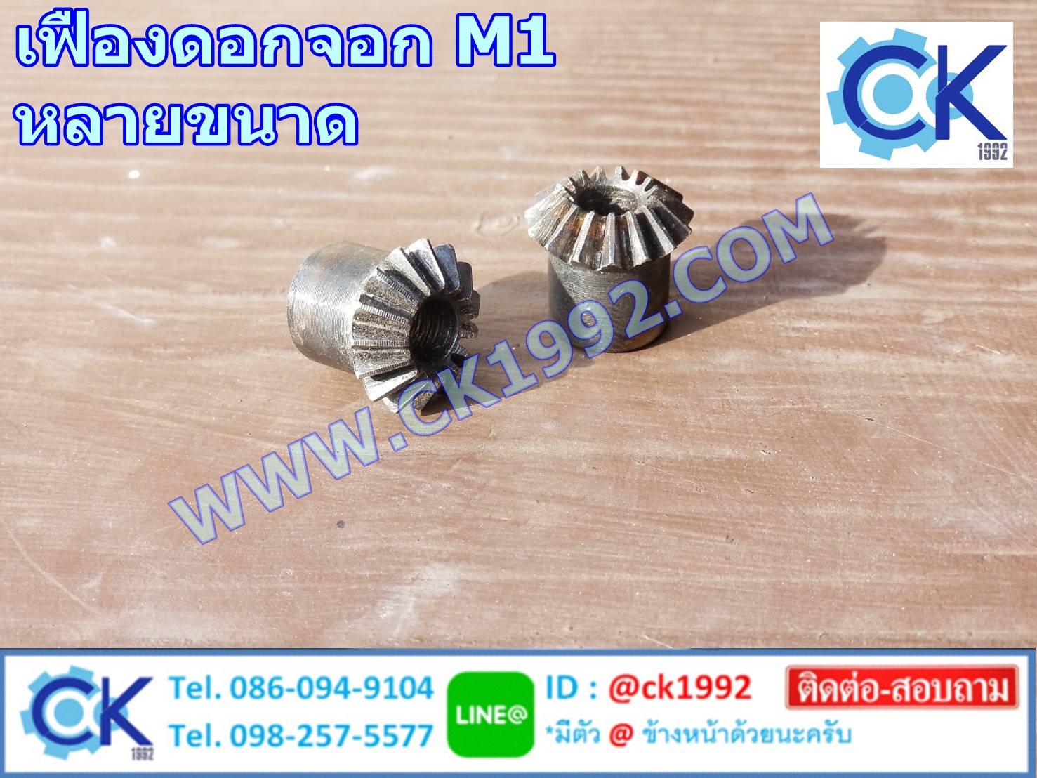 เฟืองดอกจอก M1 อัตรทด 1:1 90องศา