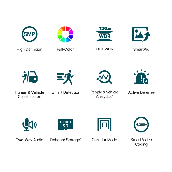 VIGI C450 VIGI 5MP Full-Color Turret Network Camera