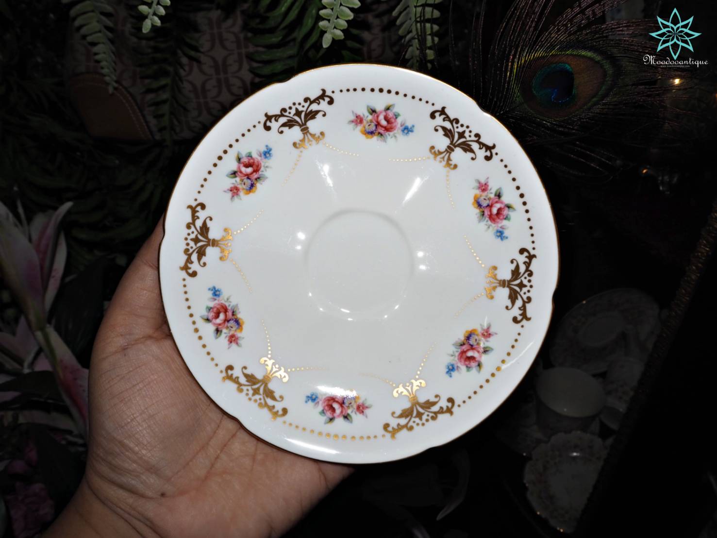 Fine SEYEI Snowborn Japan (no cup)