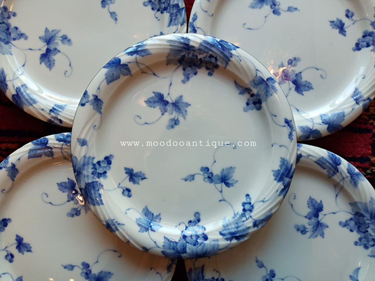 Adam&Eve ( blue& white )000