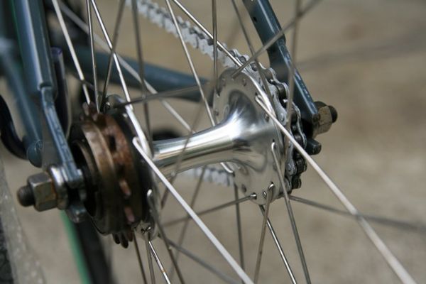 Fix Gear โคโมลี่ "Fuji"