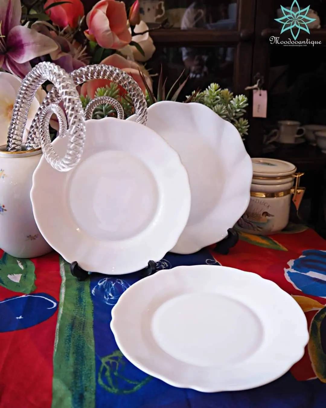 Arcopal France ฝรั่งเศษ เนื้อนม