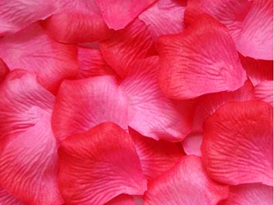 โปรโมชั่น//กลีบกุหลาบ รหัสสี 21 แดงไล่ชมพู แพคละ 95-100 กลีบ