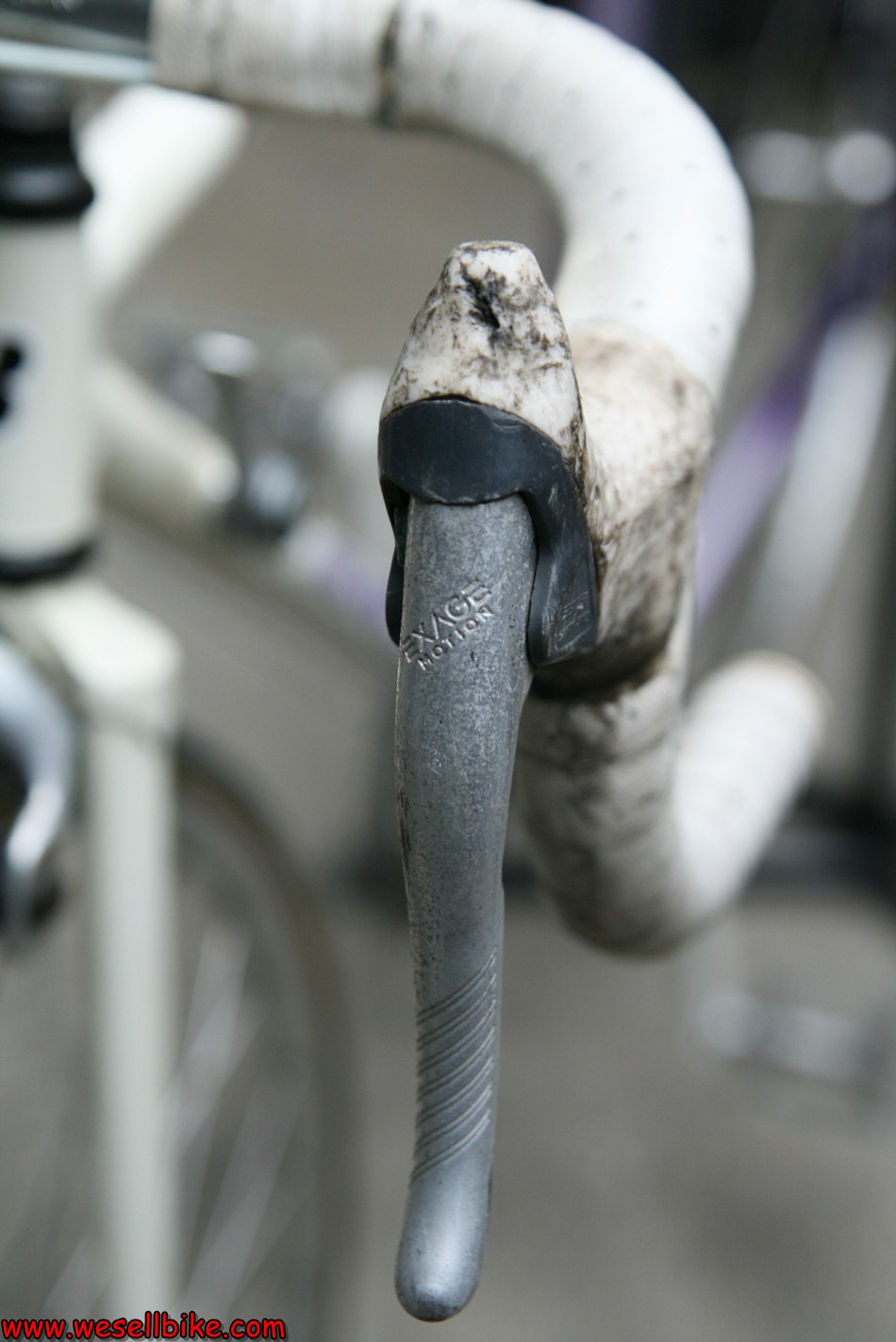 เสือหมอบสับถัง Bridgestone Radac ไซส์ S