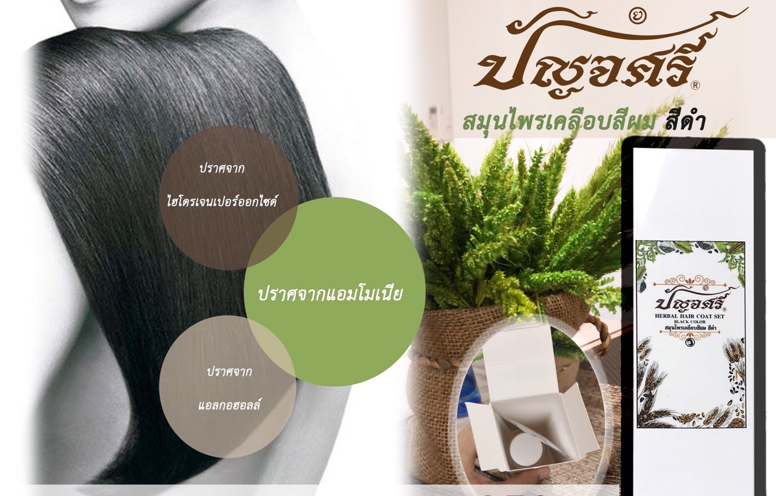 ชุดย้อมผมสีดำ 100 มล.