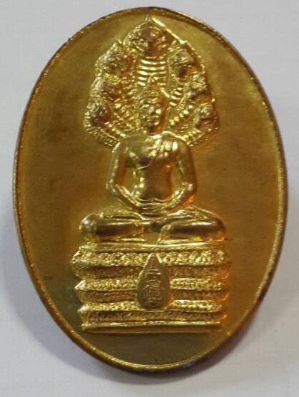 เหรียญนาคปรกสมเด็จพระญาณสังวรปี2553