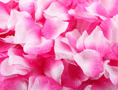 โปรโมชั่น//กลีบกุหลาบ รหัสสี 54 สีชมพูเข้มไล่ชมพูอ่อน แพคละ 95-100 กลีบ