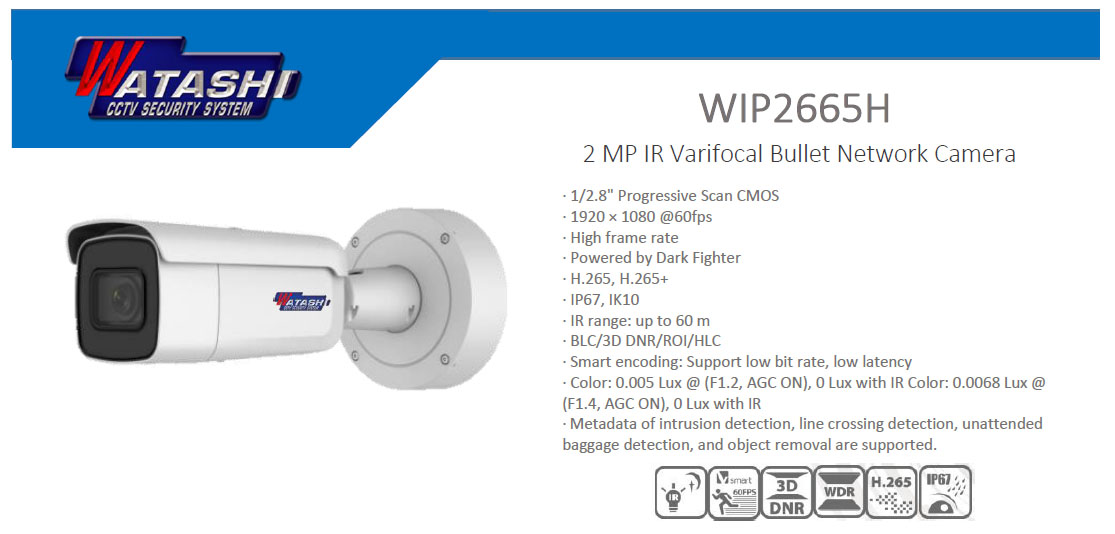 6 MP Moto Varifocal Dome Network Camera Watashi WIP6765H