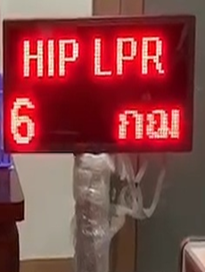 LED for LPR (P10 LED+Bracket)
