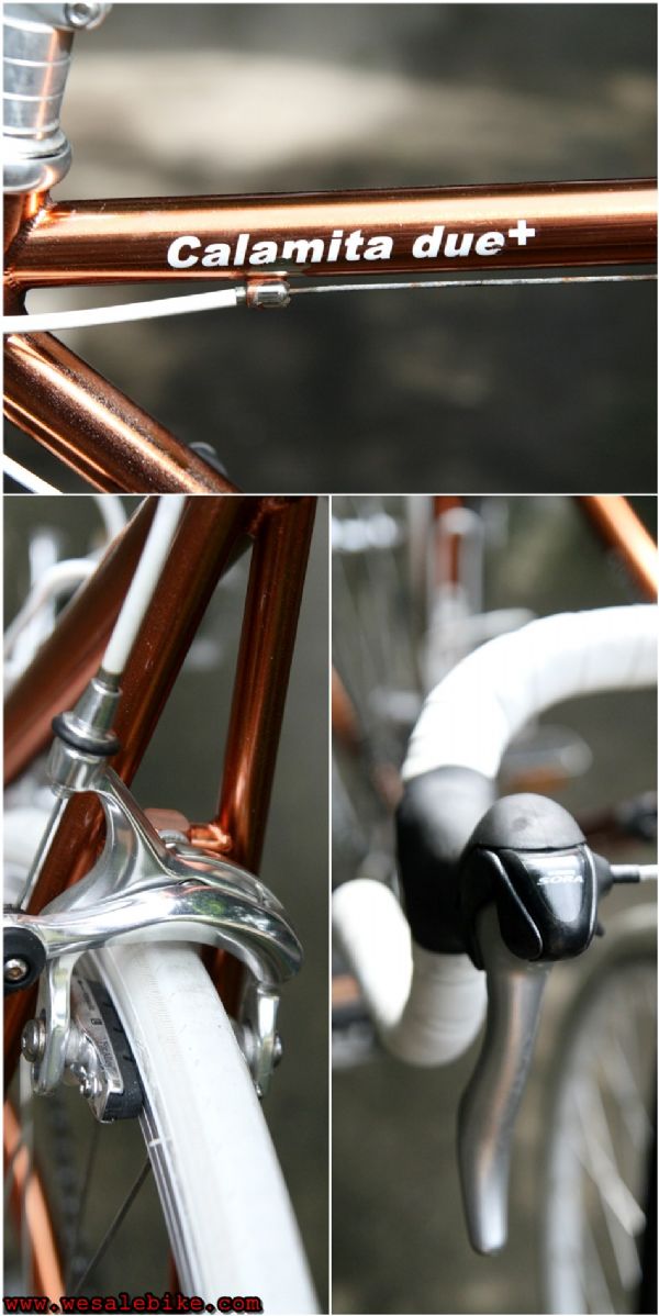 เสือหมอบ Calamita due เฟรมโครโมลี ไซส์ S