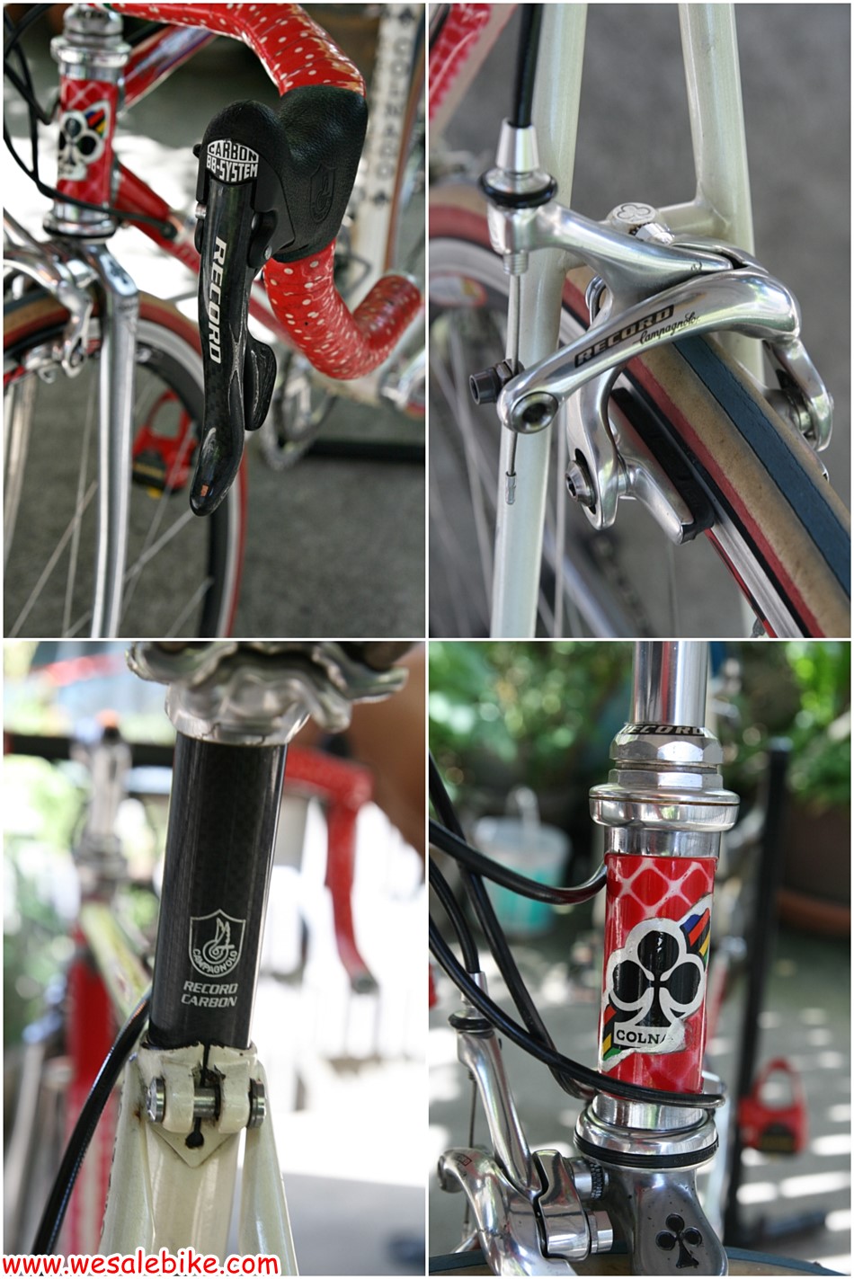 เสือหมอบโครโมลี่ Colnago Master อะไหล่Campag Record ไซส์ S