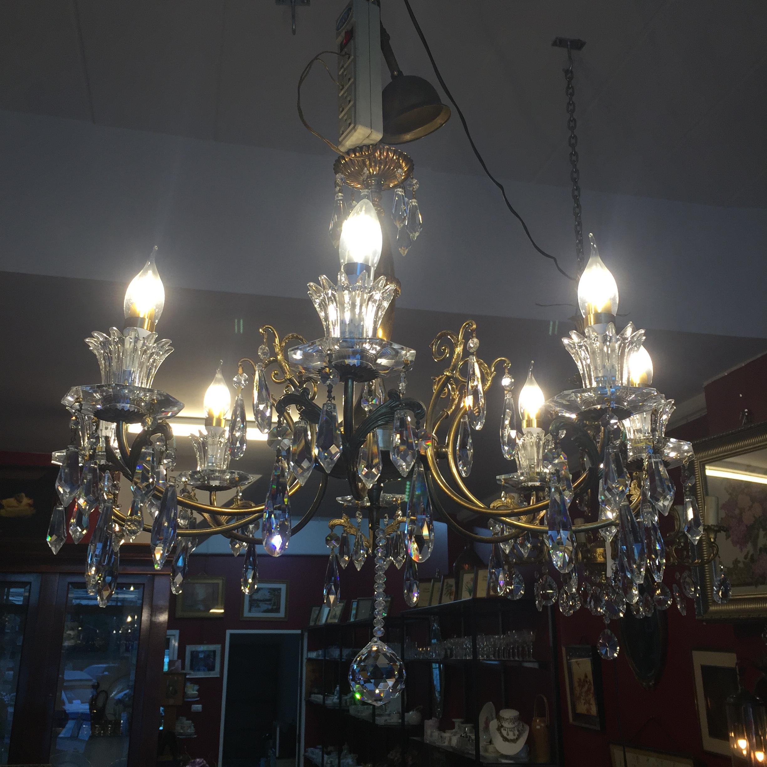 แซนเดอเรียทองเหลือง8 ช่อ