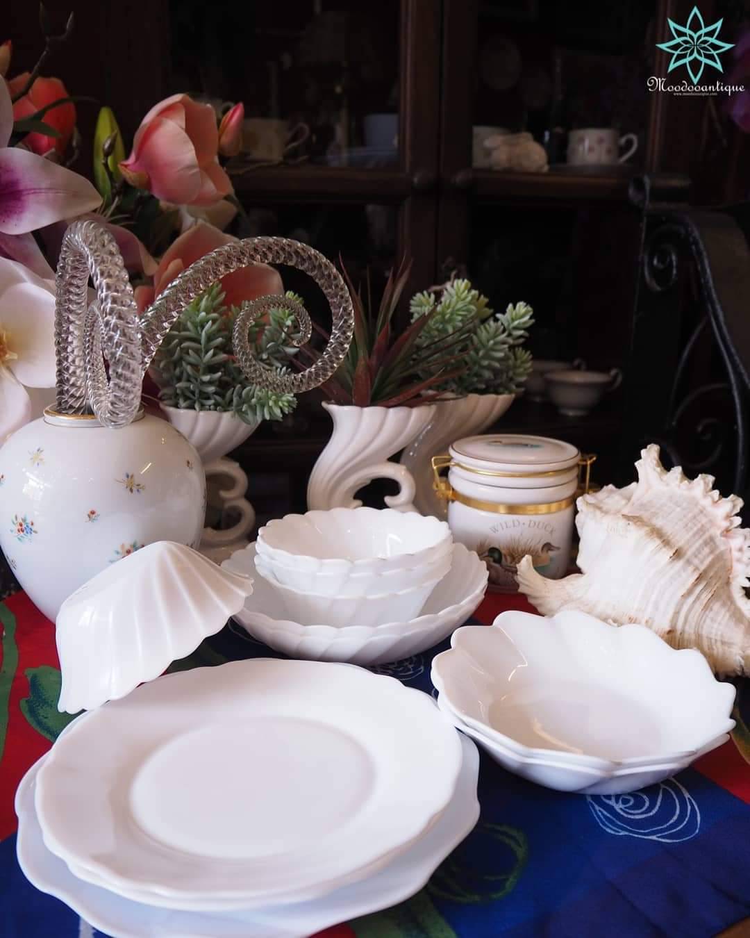 Arcopal France ฝรั่งเศษ เนื้อนม