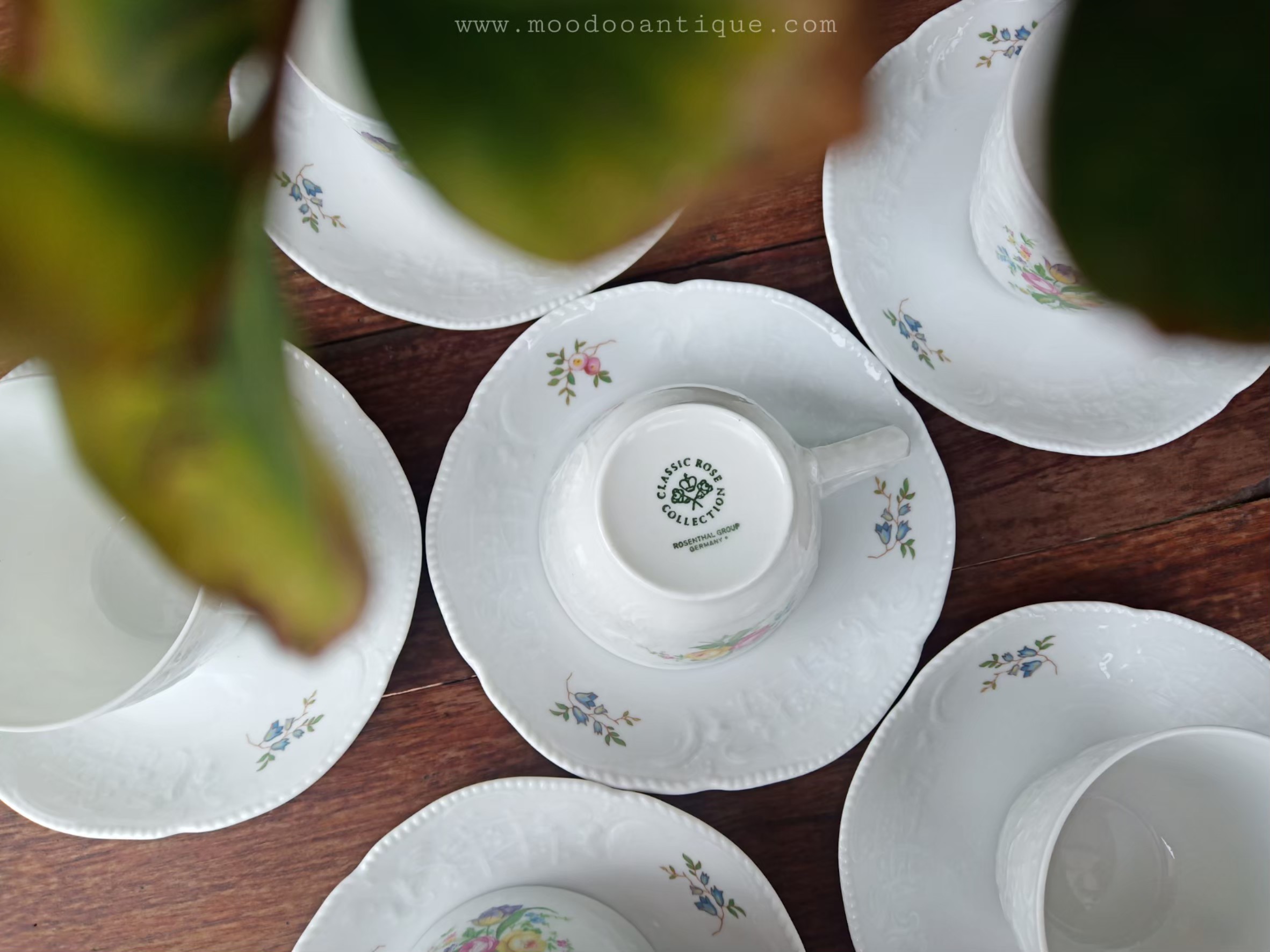 Classic rose collection Germany