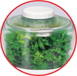 เครื่องบดสับ Tefal รุ่น DPA-130