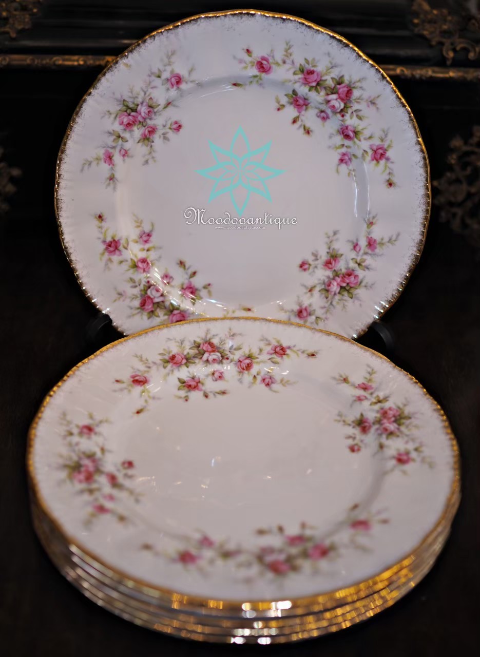 Paragon Victoria Rose 20 pcs