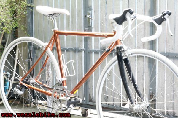 เสือหมอบ Calamita due เฟรมโครโมลี ไซส์ S