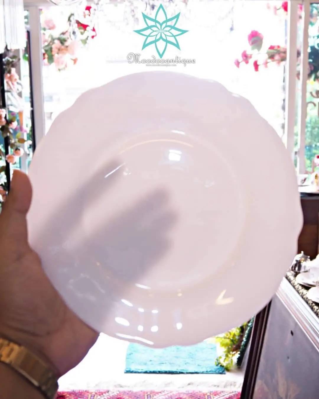 Arcopal France ฝรั่งเศษ เนื้อนม