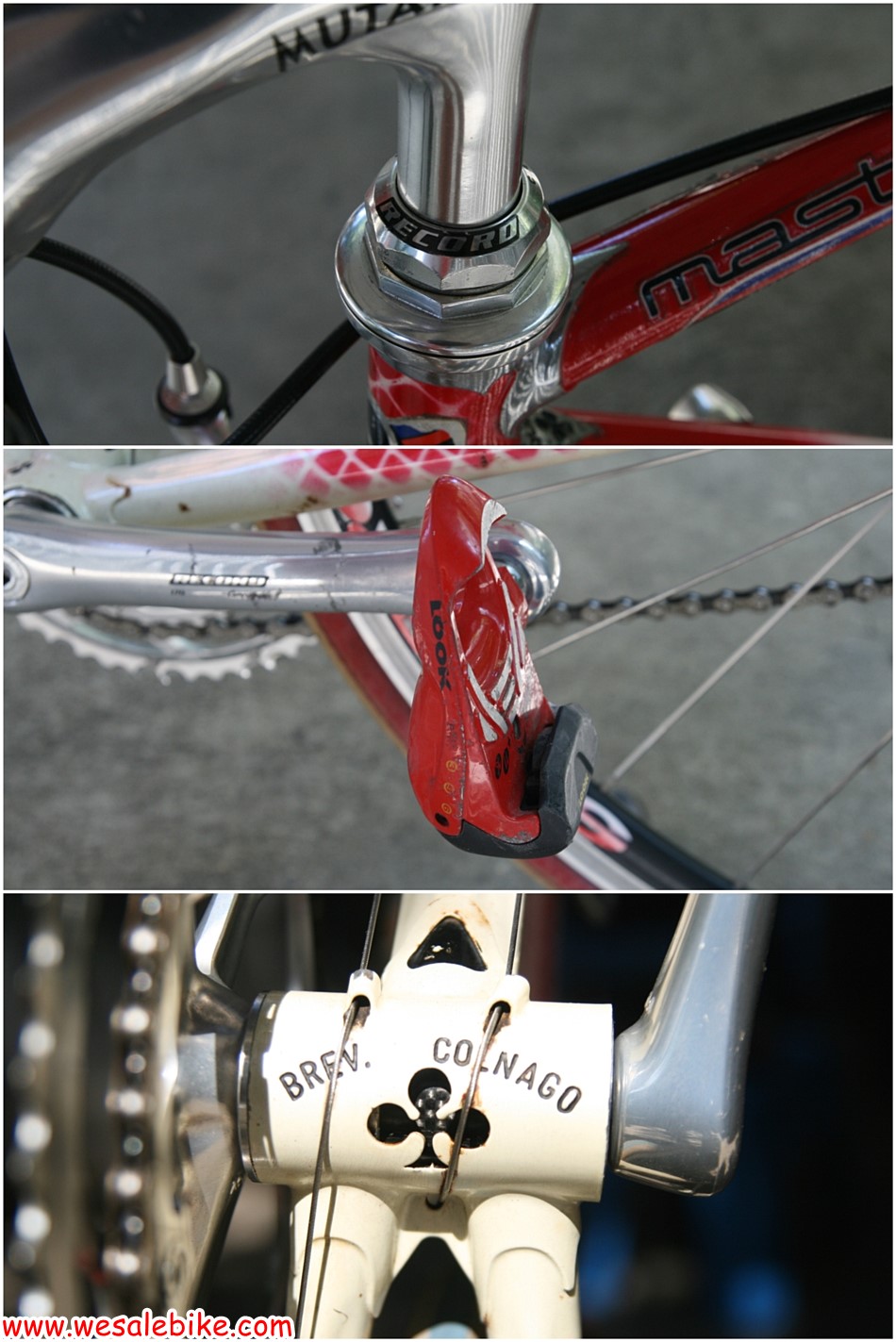เสือหมอบโครโมลี่ Colnago Master อะไหล่Campag Record ไซส์ S