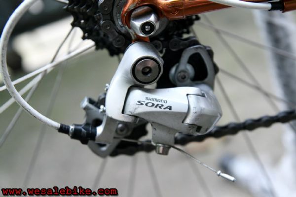 เสือหมอบ Calamita due เฟรมโครโมลี ไซส์ S