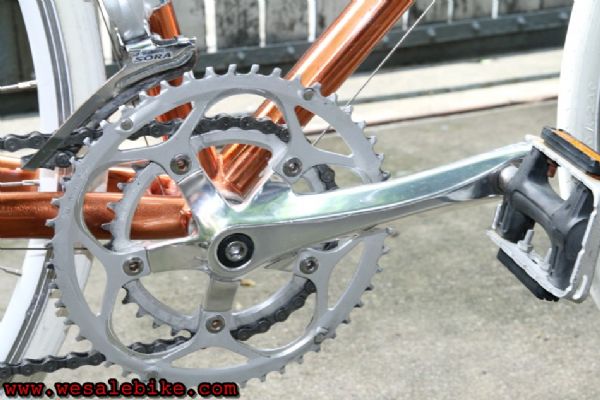 เสือหมอบ Calamita due เฟรมโครโมลี ไซส์ S