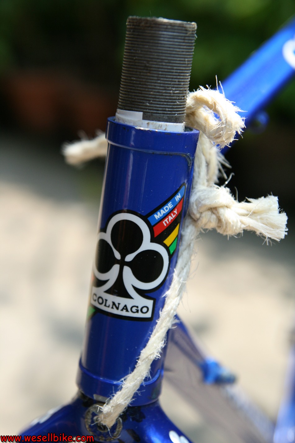 เฟรมเสือหมอบโครโมลี่ Colnago master (53x52.5) ไซส์ M