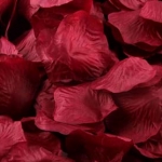 โปรโมชั่น//กลีบกุหลาบ รหัสสี 02 แดงเข้มกำมะหยี่ แพคละ 95-100 กลีบ