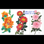 สติ๊กเกอร์ลอกลายด้วยน้ำ 9 x19 cm สินค้าพร้อมส่ง