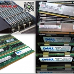 D7534 [ขาย จำหน่าย ราคา] Dell 1GB 533MHz PC2-4200F Memory Module
