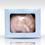 สบู่กระชับผิวรูปช้าง กล่องเหลี่ยม