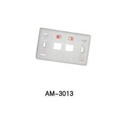 INTERLINK FACE PLATE Model AM-3013