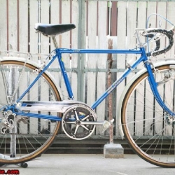 เสือหมอบโครโมลี่ Tusunoda Belfort ไซส์ M