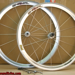 ล้อเสือหมอบ Campagnolo Shamal