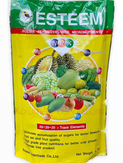 ปุ๋ยเคมี นกเงือก 20-20-20+TE สูตรเหลือง เติมความต้องการทุกส่วนของพืช (1กิโลกรัม)