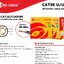 HC-CAT5E/CUO100 cat5E outdoor 99.99% สายแลนด์ Cat5 Outdoor ทองแดง 99.99% ยาว 100 เมตร