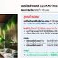 แอร์โซล่าเซลล์ 2 ระบบ + แผง 2 แผงใช้ได้ทั้งไฟบ้าน AC& ไฟแดด DC ขนาด 13000 BTU ประหยัดไฟ 1,248 บาท (เมื่อเทียบกับแอร์เก่า) จัดส่งฟรี