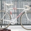 เสือหมอบโครโมลี่สับถัง Peugeot Made in France ไซส์ S