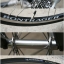 เสือหมอบ Colnago Chic Made in Italy เฟรมอลูมิเนียม ไซส์ M
