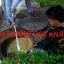 สูบส้วม ถนนพระพิทักษ์ 0998087208 ดูดส้วม บริการ-รถ-สูบไขมัน-ลอกท่อ-ล้างบ่อเกรอะ-กรุงเทพฯ
