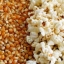 เมล็ดป๊อปคอร์น พันธุ์ผีเสือ ตรา Corona