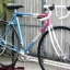 หมอบสับถัง Fuji Kona Cup จานหน้าBio-Pace ไซส์ M
