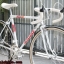 เสือหมอบโครโมลี่สับถัง Peugeot Made in France ไซส์ S